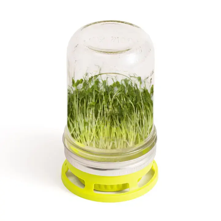 Jarware Seed Sprouter Lid For Wide Mouth Mason Jar