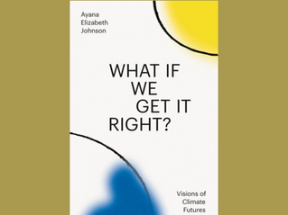 Joy, Justice, and Possibility: What If We Get It Right?