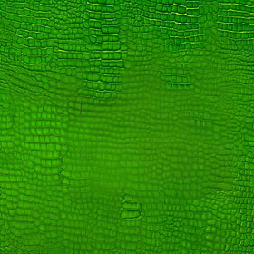 a very dark green iguana skin background.jpg