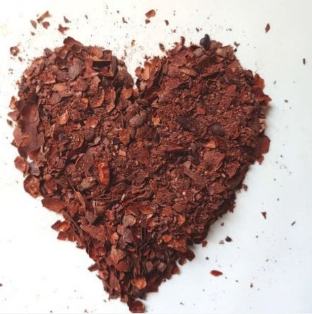 Thumbnail: Cacao Tea Infusion 