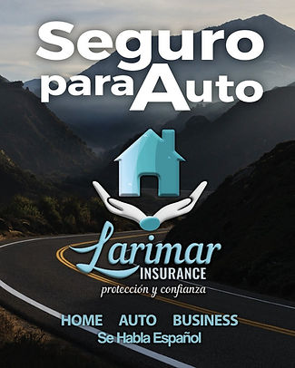 FLYER AUTO -LARIMAR.JPG
