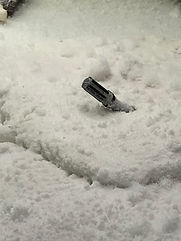 IMG_1578.jpg