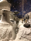 IMG_1754.jpg