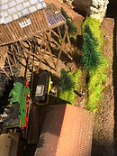 IMG_2466.jpg