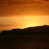 Wellington sunset