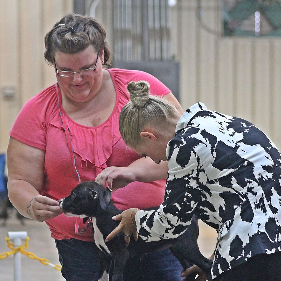 13668743_555697497888498_920705103841427