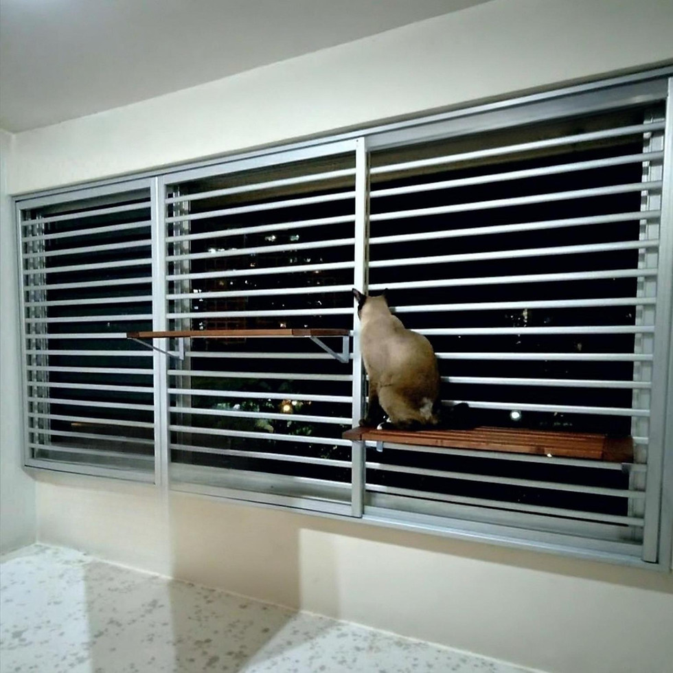 Cat proof Window Grille Installed in HDB Flat Bedroom By Ho Ho