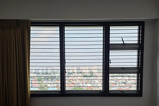 Cat proof invisible grille combined with mild steel slim window grill, 6 mm slim bar design for safe and modern cat friendly installation in Singapore