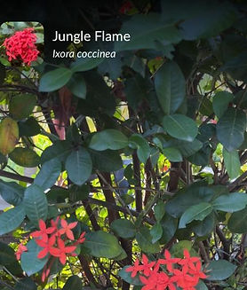 WhatsApp Image 2025-11-17 at 17.19.30 (2).jpeg