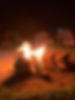 Bonfire