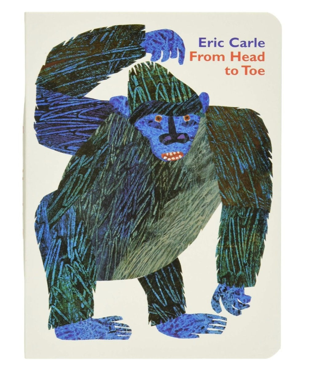 From Head to Toe Board Book
