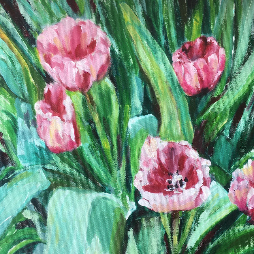 Tulips