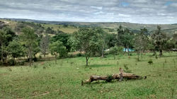 6ca42e5e-11bf-4a65-ba69-bb4837dea892