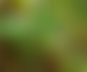 2020年1月及2月News