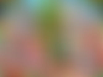 JOYEUX NOEL à tous nos petits et à tous les membres d'Enfants de notre terre.