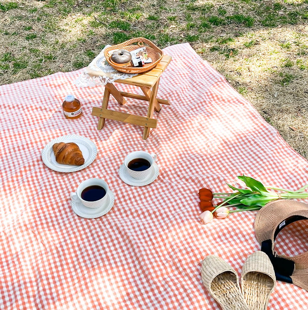 Red Picnic Mat