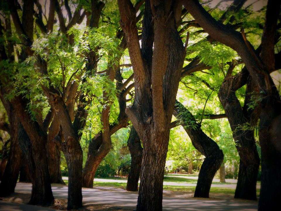 Mendoza, Argentina