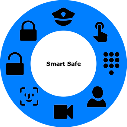 697 Smart Safe Wheel.png