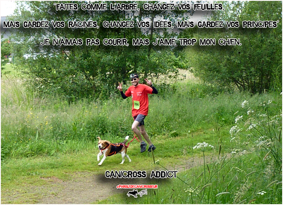 j'aime le canicross et mon beagle