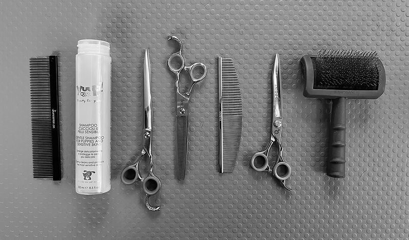 IMG_7500-2 Kopie.jpg