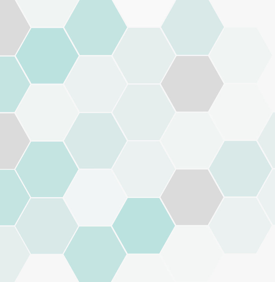 bg_hexagon2.jpg