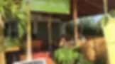 Falafel-Bar-MA-Restaurant.webp