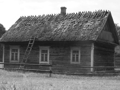 Гаёўня Купалішча на груду Чарнава сярод багнаў Купалішча і Паўночнае Ўюнішча