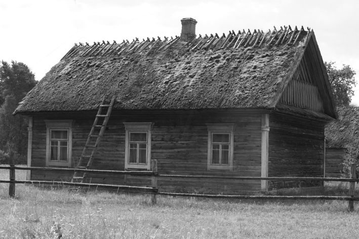 Гаёўня Купалішча на груду Чарнава сярод багнаў Купалішча і Паўночнае Ўюнішча