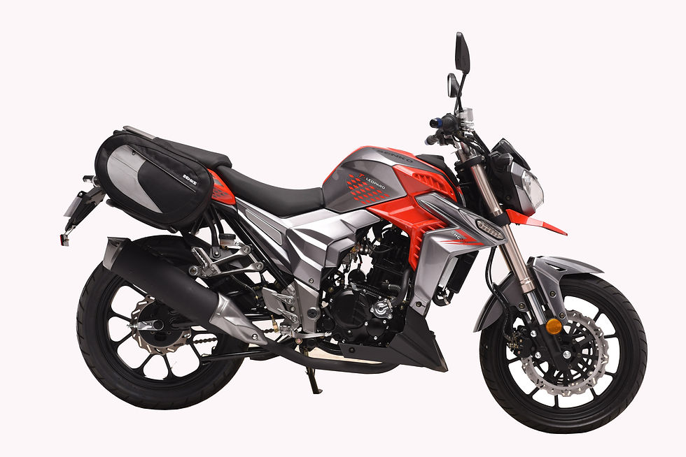 Leopard (red, Right)