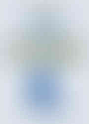 Cover of "Video Game Giants" with the word "Capcom" in bold yellow. Below, a silhouette of the character Ryu. Light blue and minimalist design.