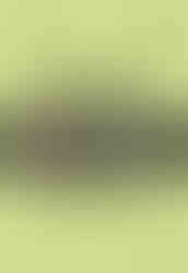 Green book cover titled "The History of Advertising in Video Games – 2000/2009 – Volume 4: Brazil," featuring vintage video game ads and consoles.