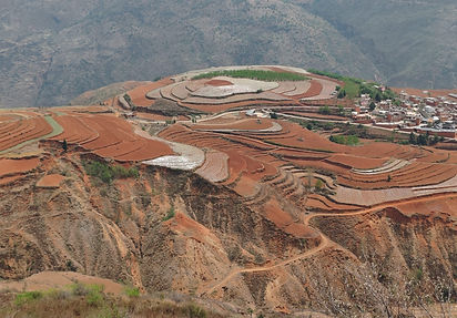 WhatsApp Image 2025-12-13 at 13.31.45 (3).jpeg