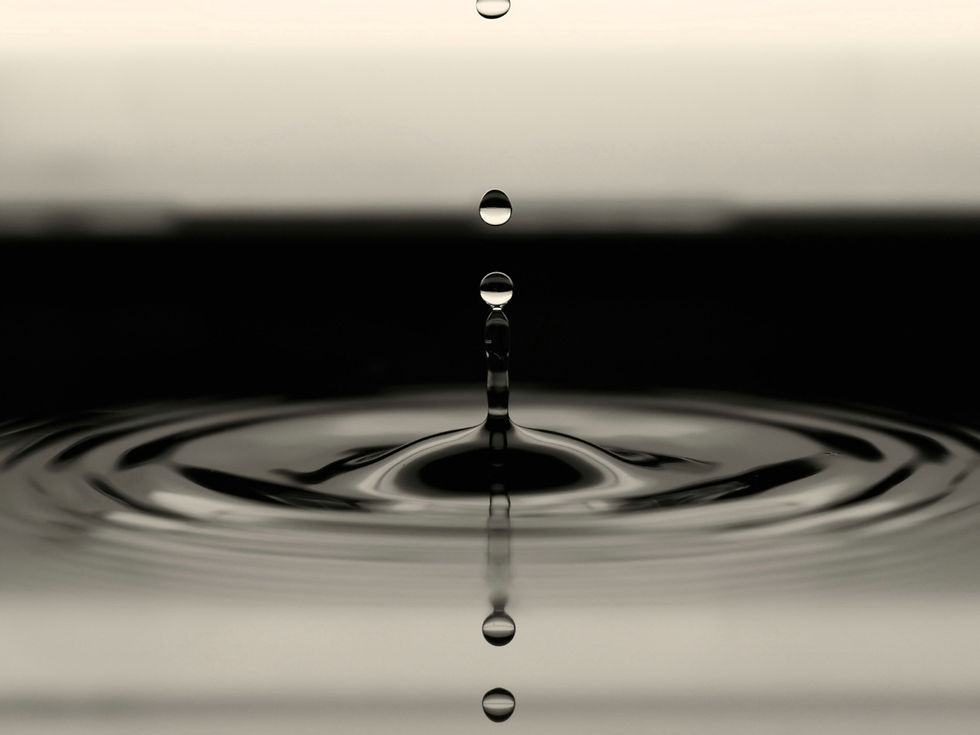 Consultinf en entreprise par Manon Bartholomey.