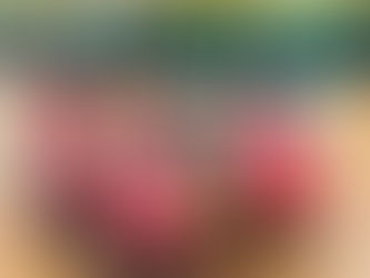 2ième victoire de la saison à Dijon