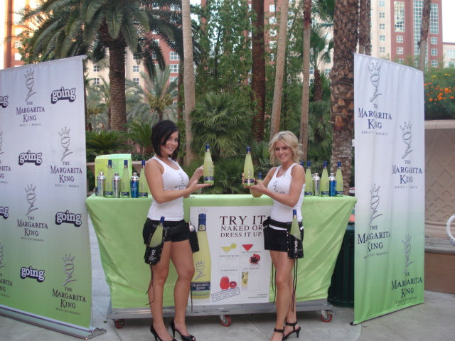 BAR SET UP FLAMINGO.JPG