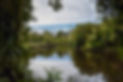 Perfect reflections in the enchanting Waitangiroto Nature Reserve, Whataroa, New Zealand