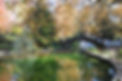 parque_do_lago__4_.jpg