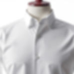 Regular Fit Oxford White Shirt.jpg