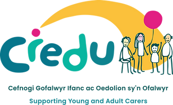 Transparent logo.png