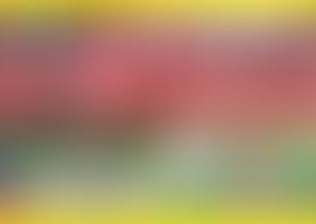 2025.07.19⚾レギュラー・ジュニア OP戦 滋賀守山シニア