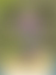 Beeldende Vorming les 7