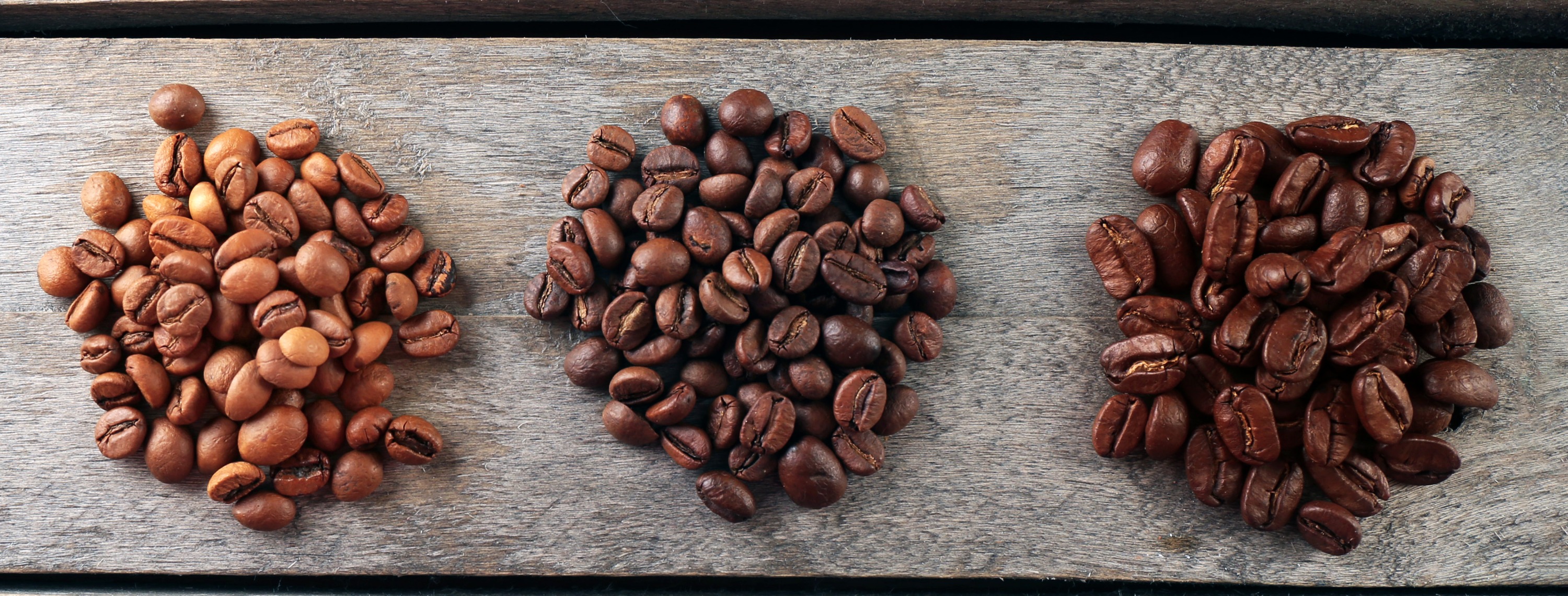 Artisan | Thecherrybean Coupons and Promo Code