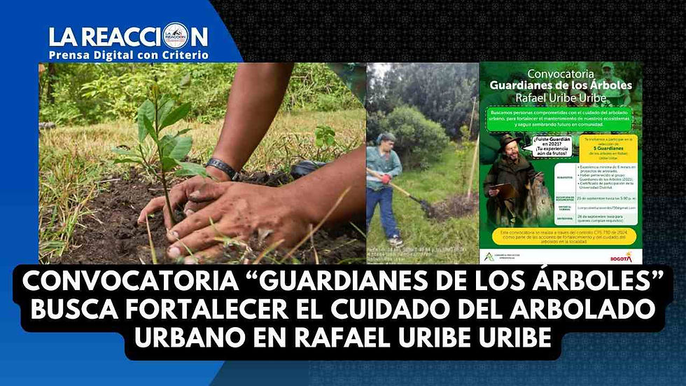 Guardianes de los árboles