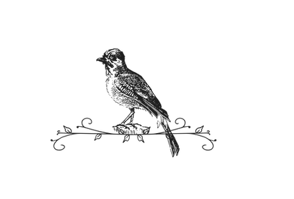 Untitled design (20)_edited.png