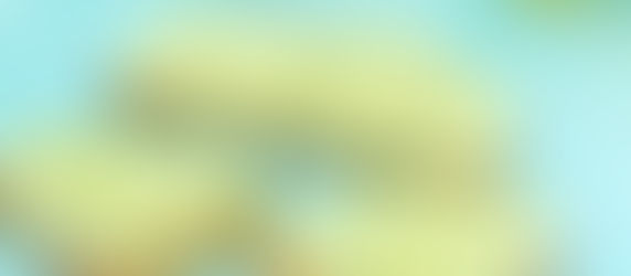 Sezóna medvědího česneku je v plném proudu!