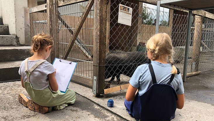 Tiere, Skizzieren, Sägen