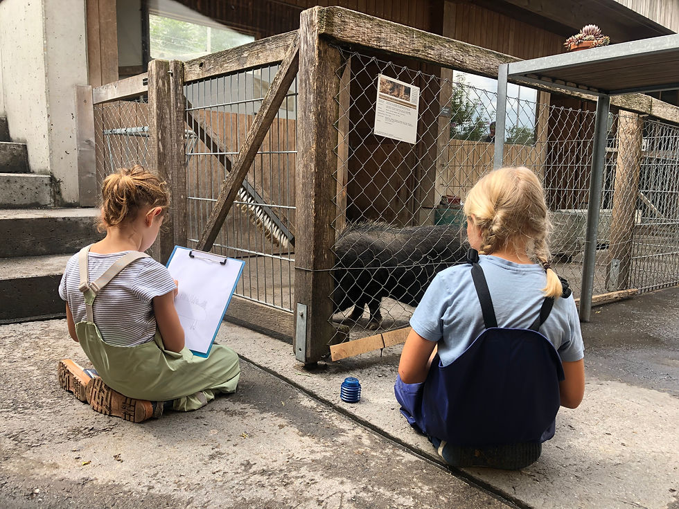 Tiere, Skizzieren, Sägen