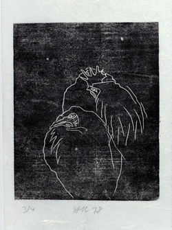 2_Aus-der-Welt-der-Huehner