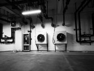IMG_2969.jpeg