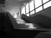IMG_2631.jpeg